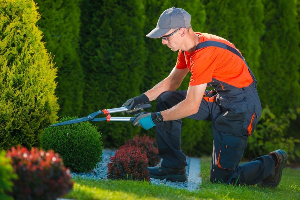 Garden & Property Maintenance